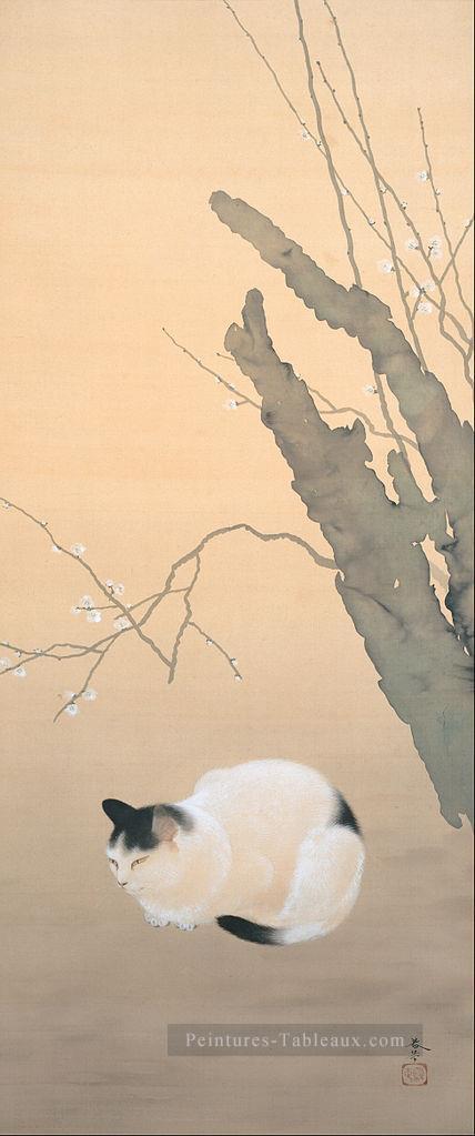 fleurs de chat et de prune 1906 Hishida Shunso japonais Peintures à l'huile